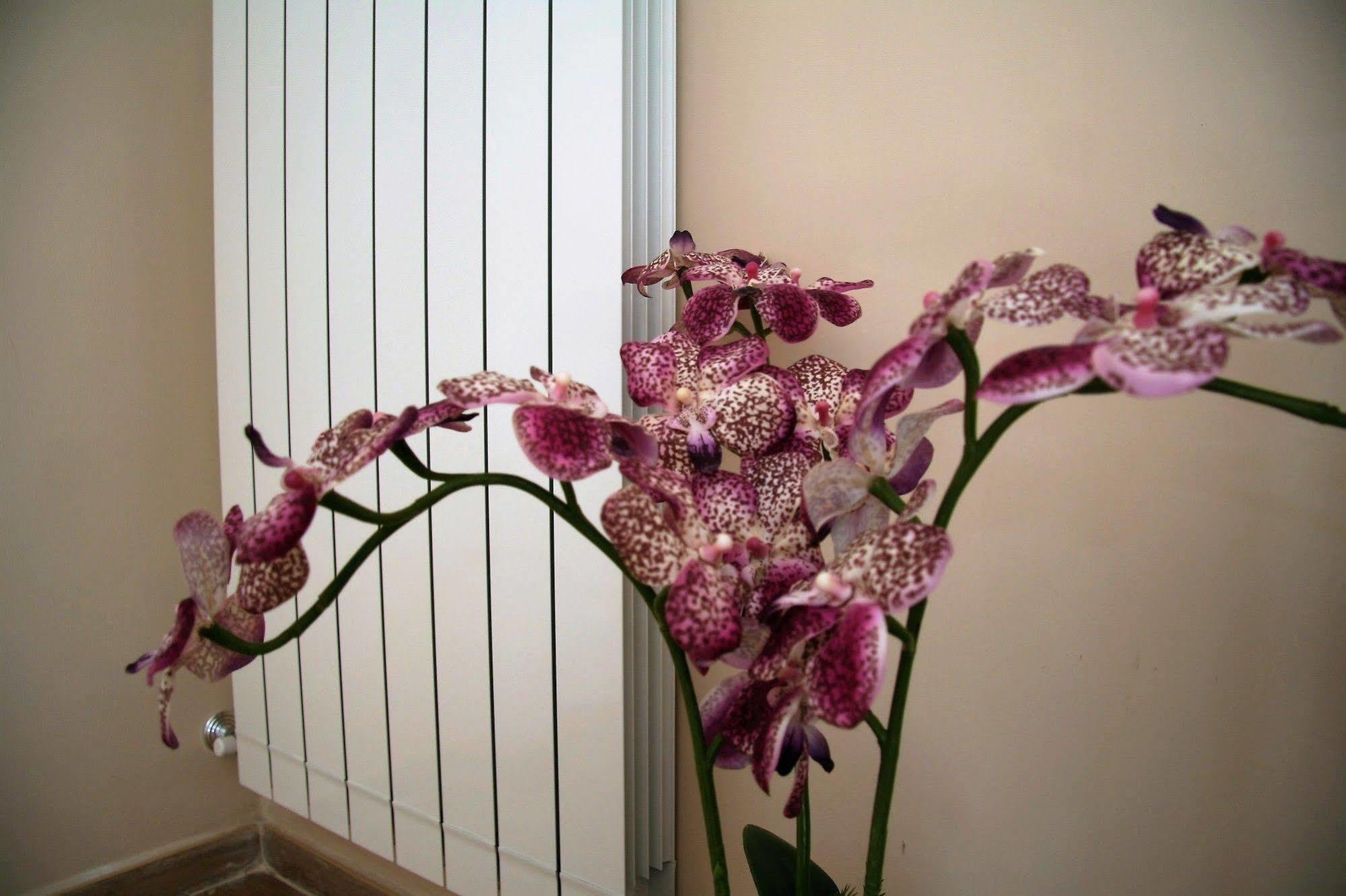 Bed and breakfast Giacomino 3*